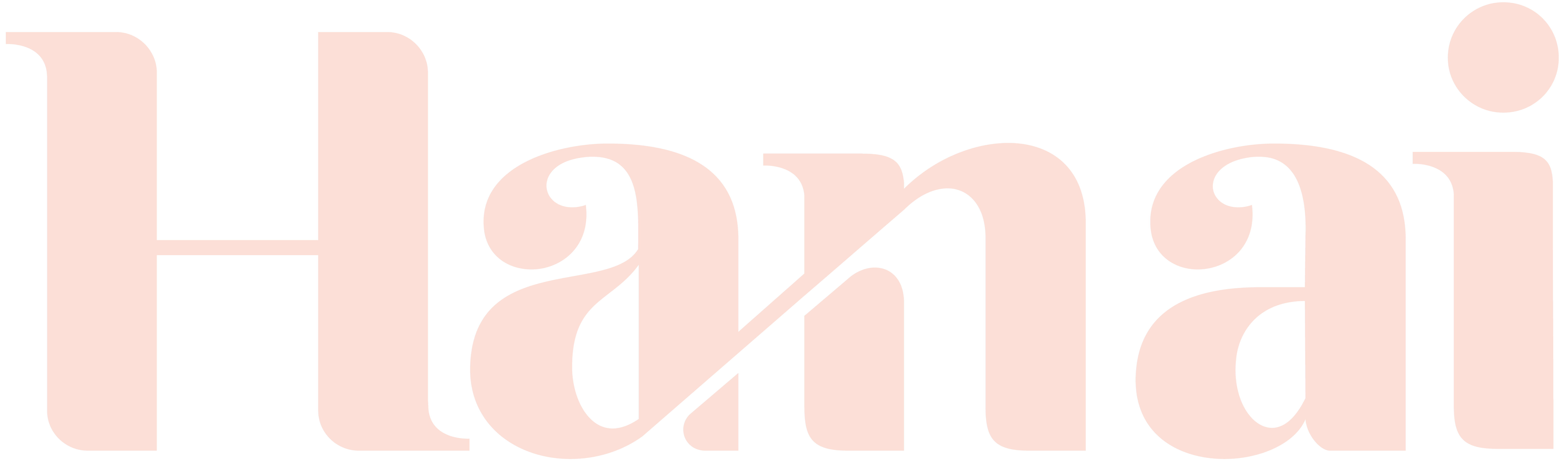 Hanai Logo